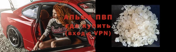 a pvp Новозыбков