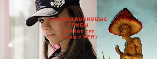 a pvp Новозыбков