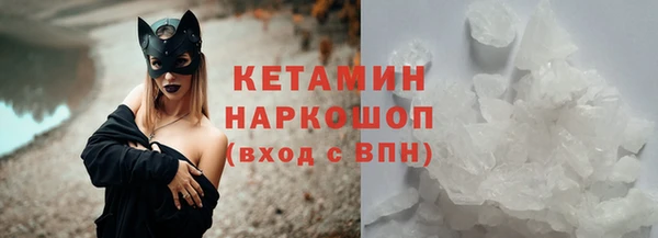 a pvp Новозыбков