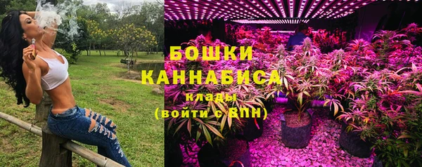спайс Новодвинск