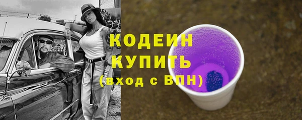 спиды Бикин