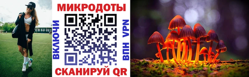 Галлюциногенные грибы Cubensis  Богородицк 