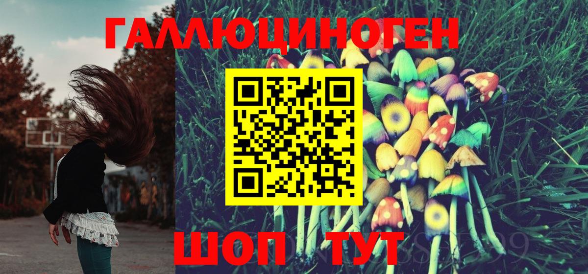 Галлюциногенные грибы Psilocybe Богородицк