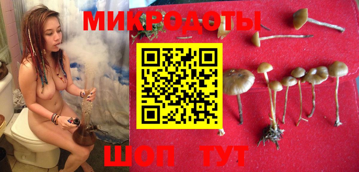 Псилоцибиновые грибы GOLDEN TEACHER  Богородицк 