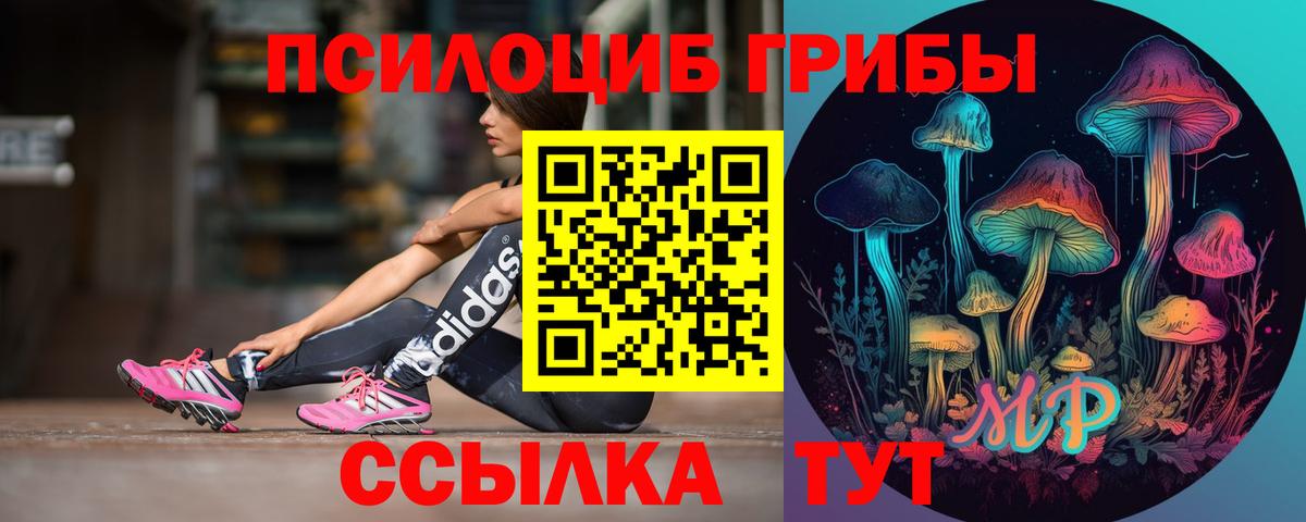 Галлюциногенные грибы MAGIC MUSHROOMS  Галлюциногенные грибы Psilocybine cubensis  Богородицк  Вход с VPN 
